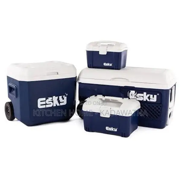 Esky Ice Box