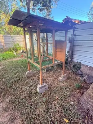 Love Birds Cage