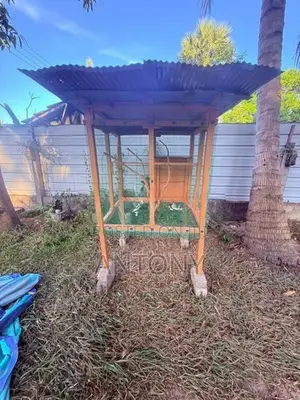Love Birds Cage