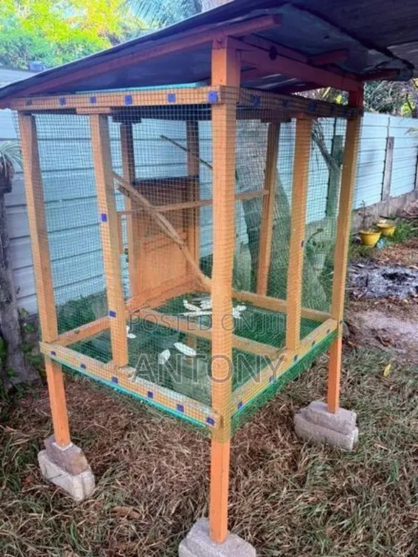 Love Birds Cage