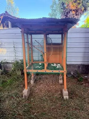 Love Birds Cage