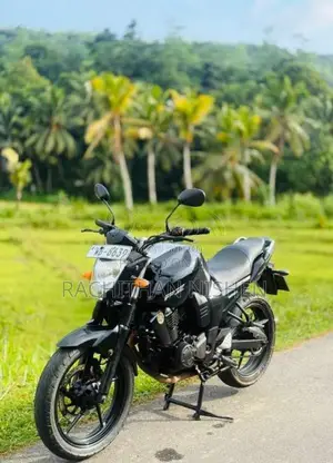 Yamaha FZ-S 2010 Motorbike (Used)