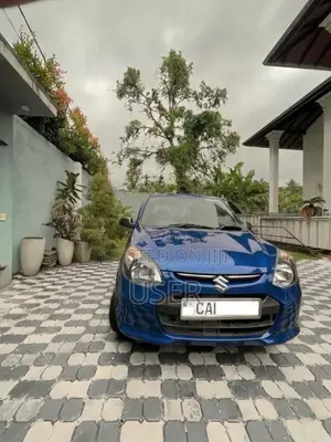 Suzuki Alto LXI 2015 Car (Used)