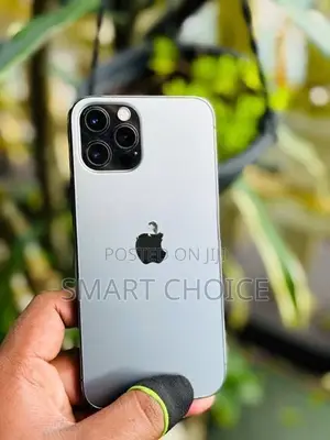 Apple iPhone 12 Pro 256GB G (Used)