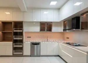 Modern pantry cupboards