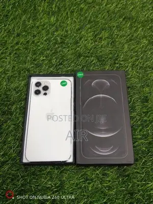 Apple iPhone 12 Pro 256GB (Used)