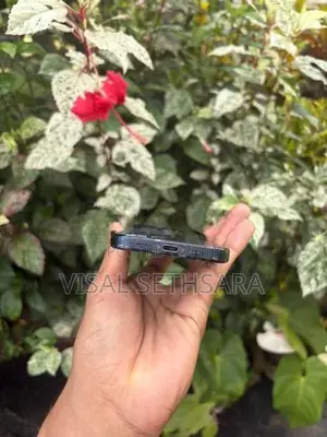 Apple iPhone 15 Pro (Used)