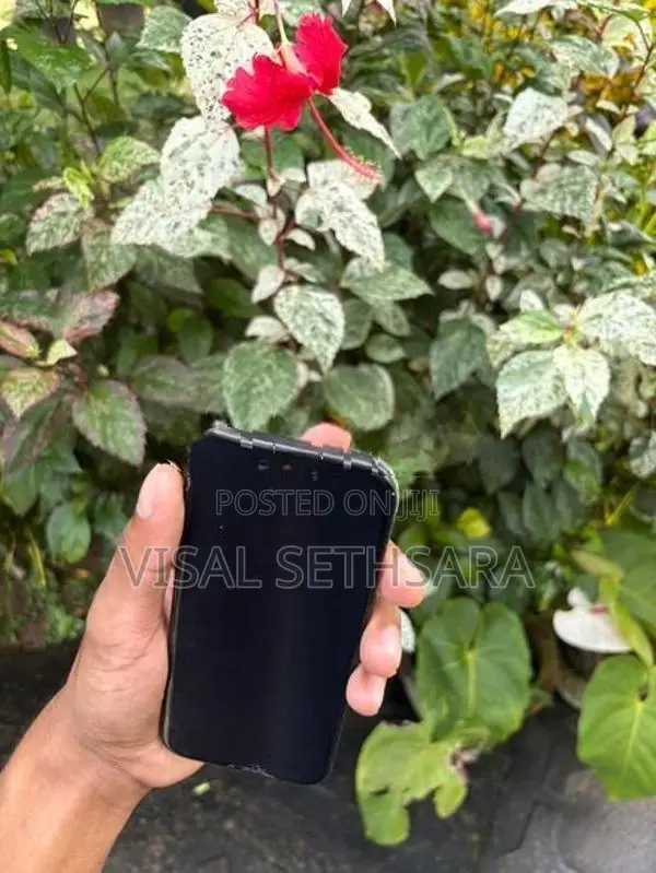 Apple iPhone 15 Pro (Used)