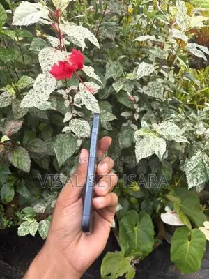 Apple iPhone 15 Pro (Used)