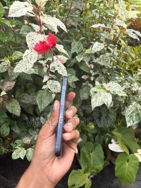 Apple iPhone 15 Pro (Used)