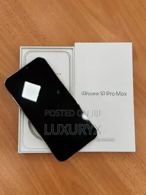 Apple iPhone 12 Pro Max (Used)