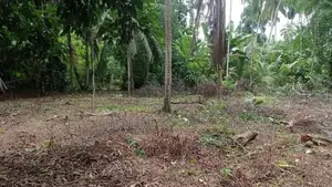 20 Perch Land in Polgahawela