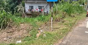 25 Perch Commercial Land Kottapola In Galigamuwa