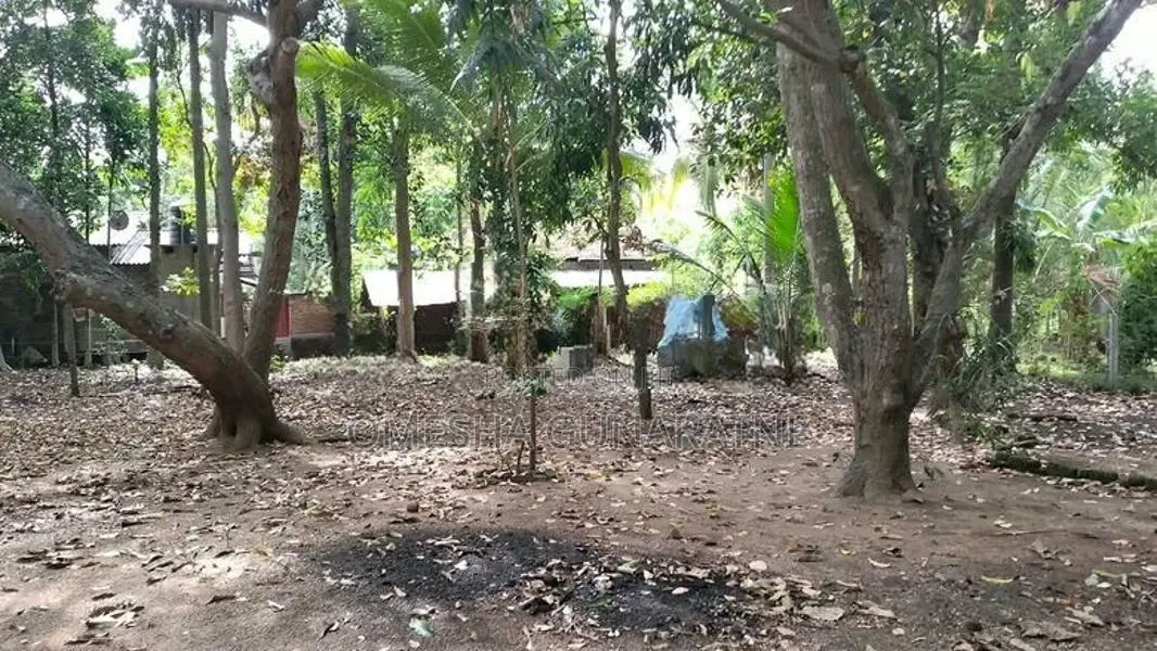 Land With House For Sale Galewela