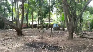 Land With House For Sale Galewela