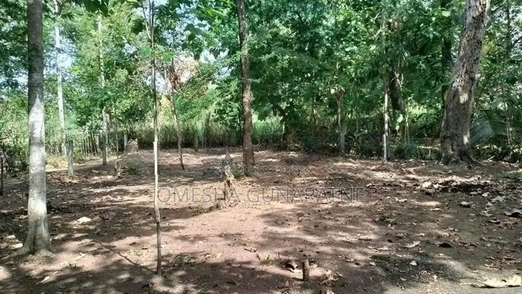 Land With House For Sale Galewela