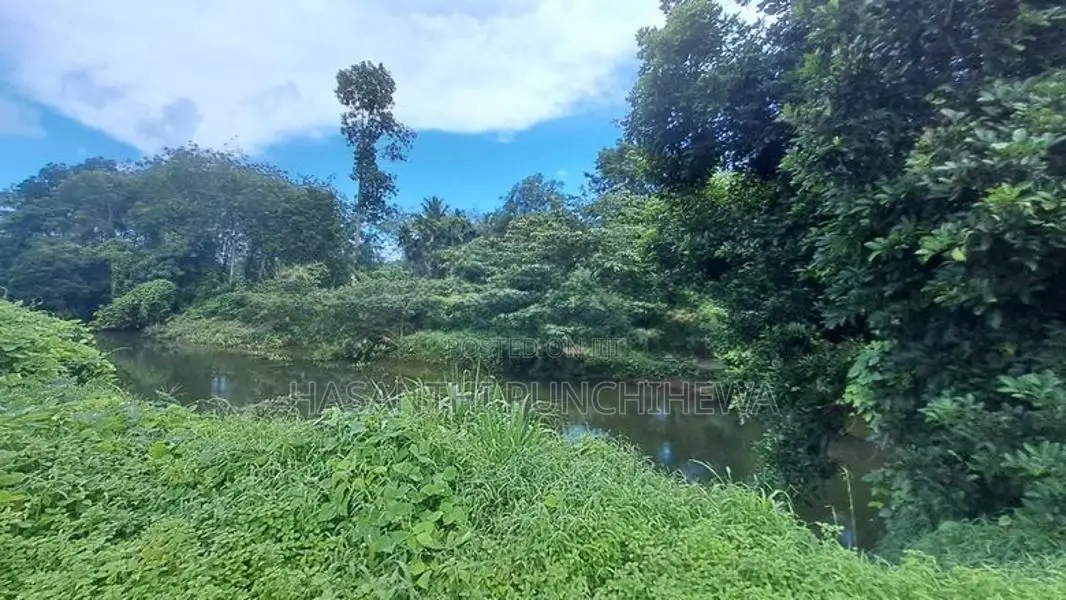 Land for Sale - 280 Perch Bordering Mawak Oya in Handapangoda