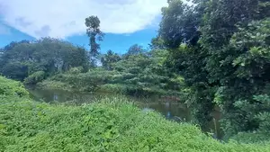 Land for Sale - 280 Perch Bordering Mawak Oya in Handapangoda