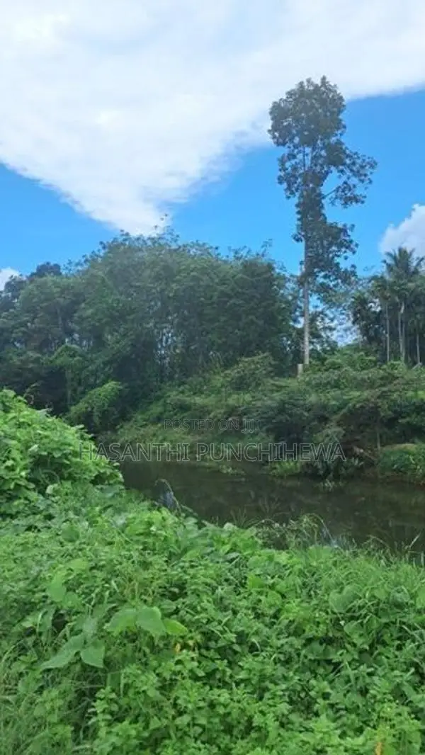 Land for Sale - 280 Perch Bordering Mawak Oya in Handapangoda