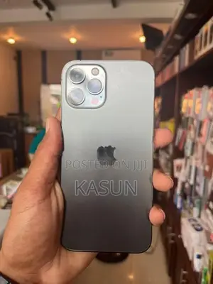Apple iPhone 12 Pro Max (Used)