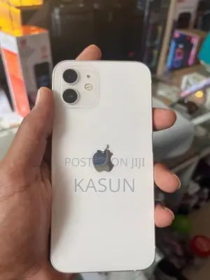 Apple iPhone 12 (Used)