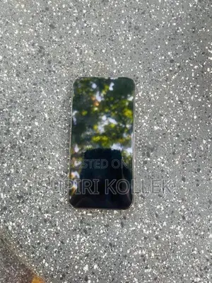 Apple iPhone 13 Pro (Used)