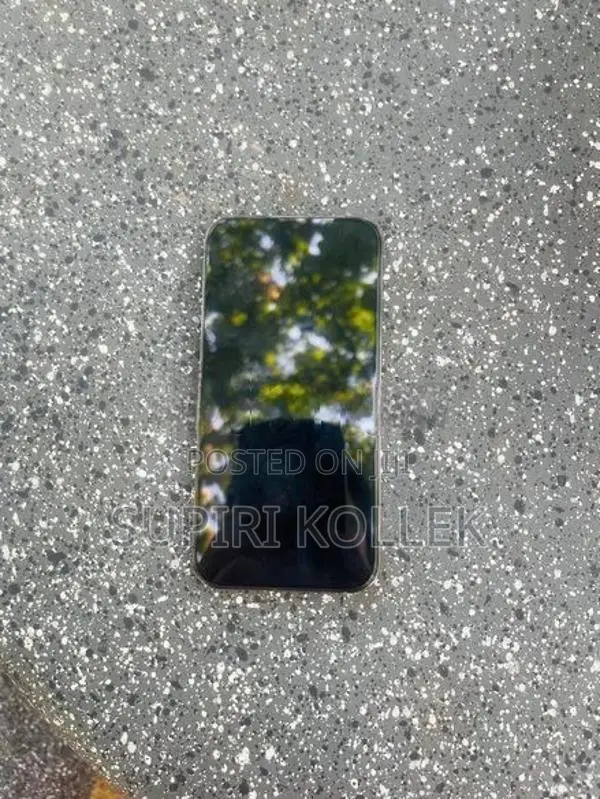 Apple iPhone 13 Pro (Used)