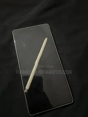 Samsung Galaxy S25 Ultra (Used)