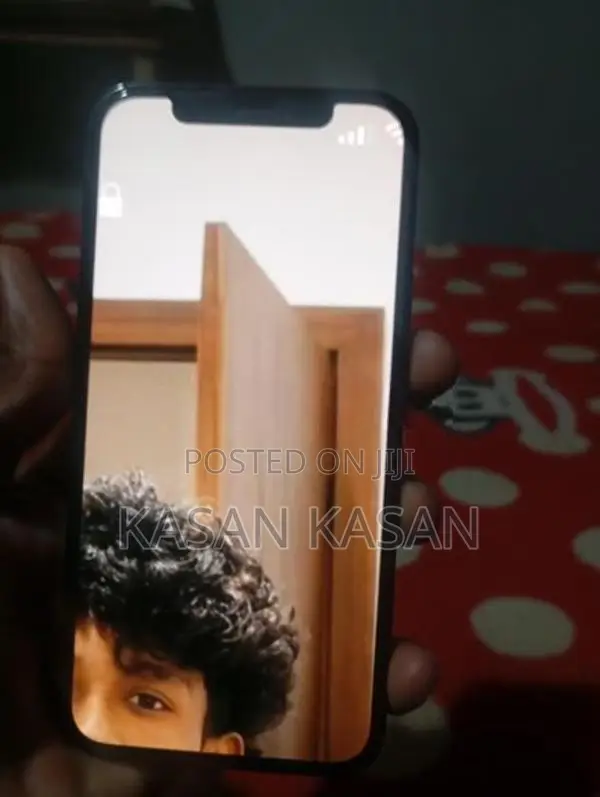 Apple iPhone 12 Pro (Used)