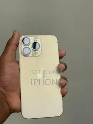 Apple iPhone 13 Pro (Used)
