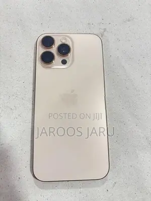 Apple iPhone 16 Pro Max 256GB (Used)