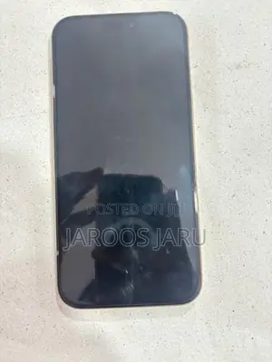 Apple iPhone 16 Pro Max 256GB (Used)