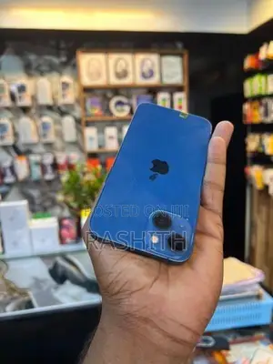 Apple iPhone 13 128GB (Used)