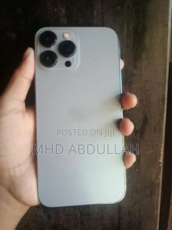 Apple iPhone 13 Pro Max (Used)
