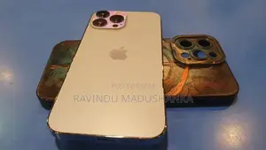 Apple iPhone 13 Pro Max (Used)
