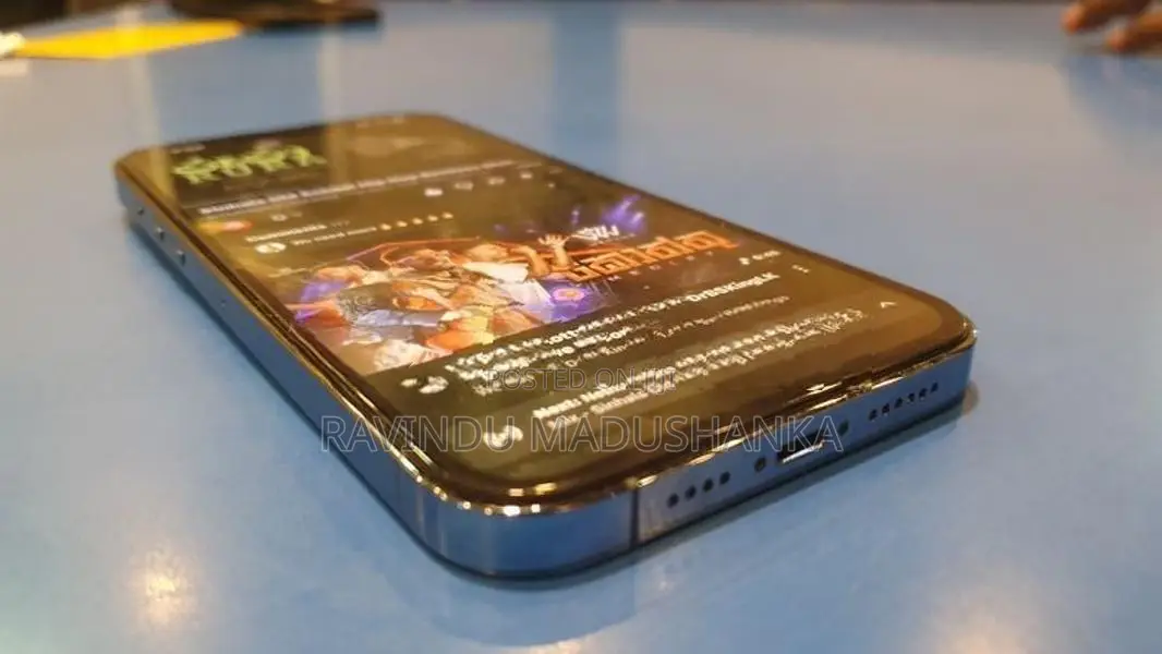Apple iPhone 13 Pro Max (Used)