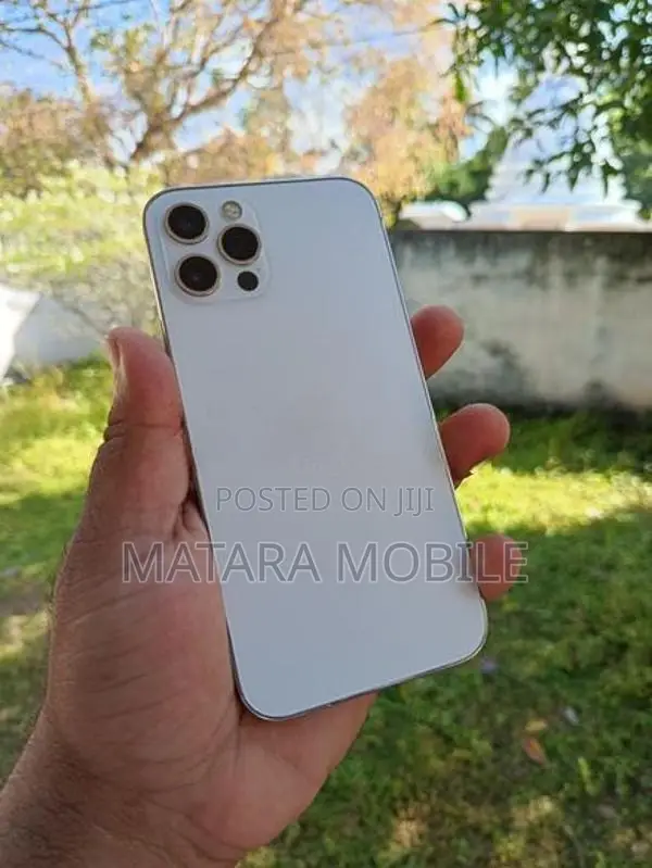 Apple iPhone 12 Pro (Used)