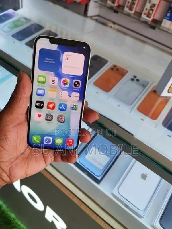 Apple iPhone 12 (Used)