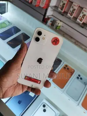 Apple iPhone 12 (Used)