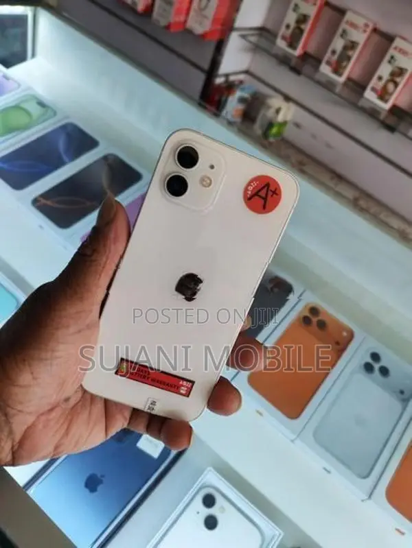 Apple iPhone 12 (Used)