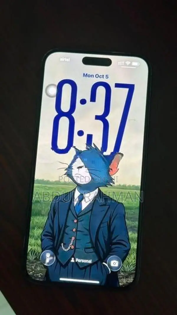 Apple iPhone 14 Pro Max (Used)