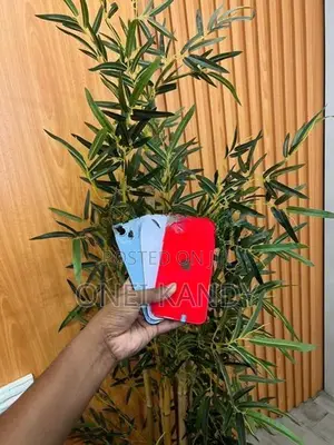 Apple iPhone 14 Plus (Used)