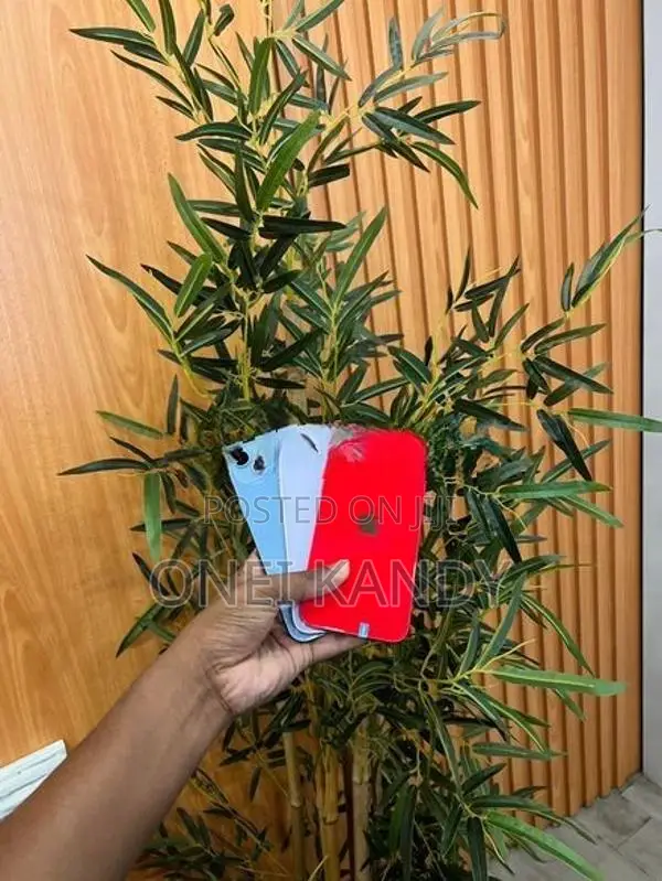 Apple iPhone 14 Plus (Used)