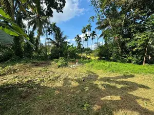 Dehiwala Alwis Place 16.68 Perches Land for Sale