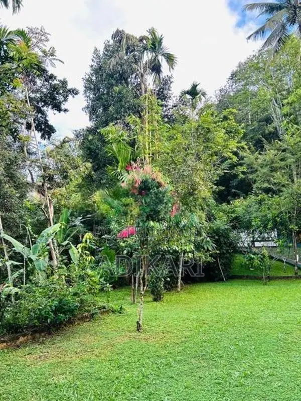 Land For Sale In Badulla