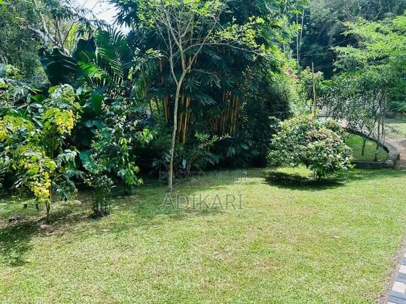 Land For Sale In Badulla