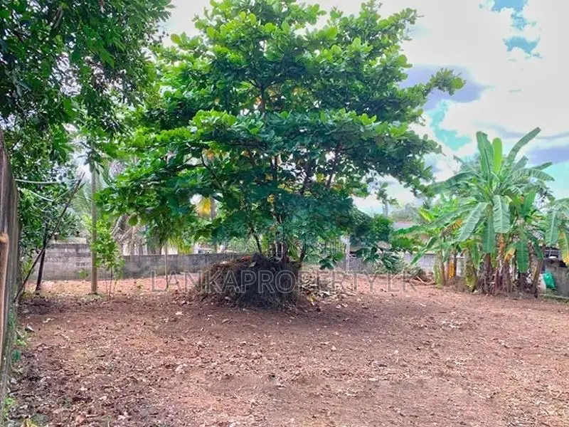 12 Perches Highly Residential Land for Sale in Kirillawala, Kadawatha