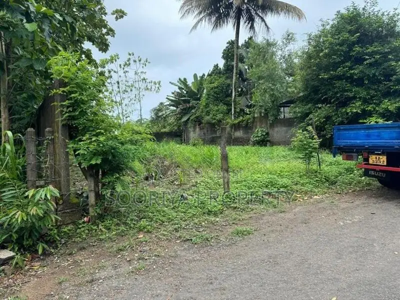30M to Bus Route Superb Land for Sale in Piliyandala