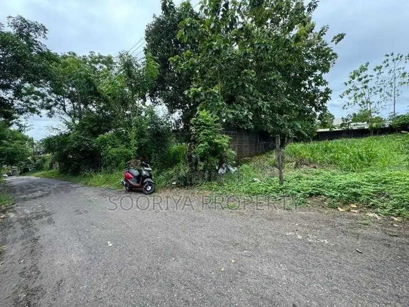 30M to Bus Route Superb Land for Sale in Piliyandala