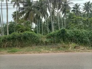 Main Road Facing Land for Sale Dagonna